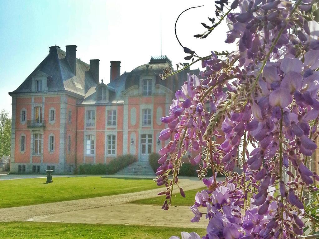 Chateau De Chantore Bacilly Esterno foto